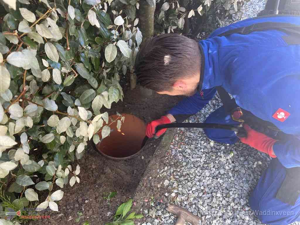 Rioolvliegjes Waddinxveen